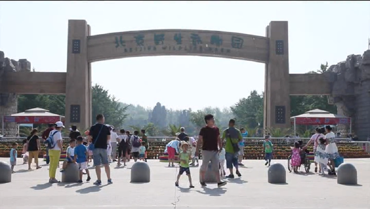 365体育官网_365体育亚洲官网